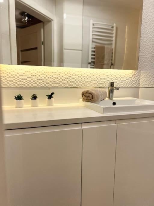 Apartament Zamojski Mlynska Zamosc  Bagian luar foto