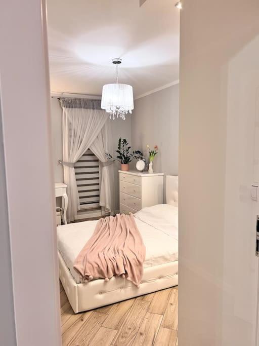 Apartament Zamojski Mlynska Zamosc  Bagian luar foto